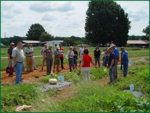 people looking at a field of squash