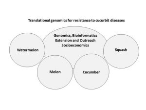 organizational chart