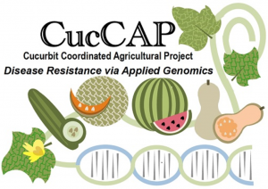 Cucurbit Coordinated Agricultural Project