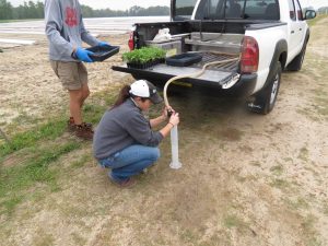 Allie measuring water