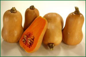 butternut squash