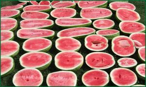 watermelons