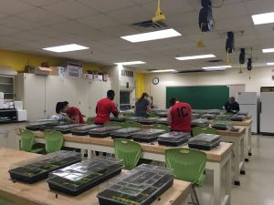 research group inoculating seedlings in the lab