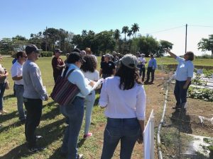 attendees in the field plots