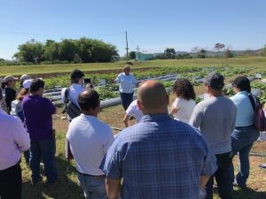Linda Wessel-Beaver explains squash disease research to field day participants.