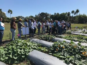 attendees in the field plots