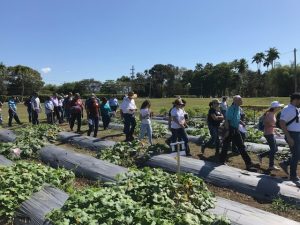 attendees in the field plots