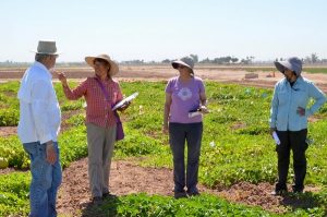 people meet in melon field