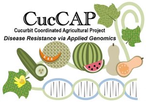 cuccap logo