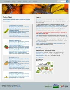 cugendbv2-website-homepage