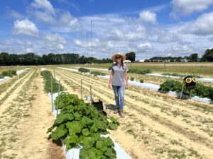 mariana in the cucurbit field