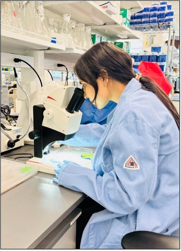 Usha views spores with a microscope