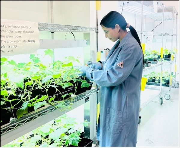 Usha in the grow room