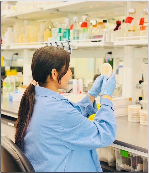 Usha examines an agar plate